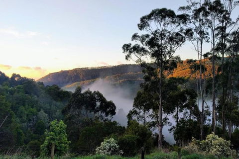 HILLSIDE HOUSE - Tweed Heads Accommodation 2