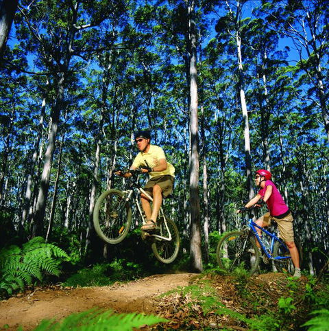 HME Collection - Tweed Heads Accommodation 1