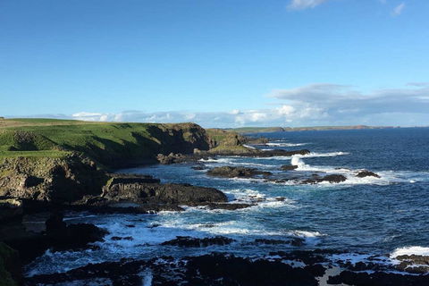 Adrift At Ventnor On Phillip Island, Pets - Tweed Heads Accommodation 1