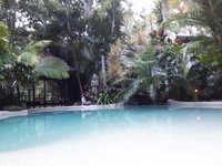 Book Eudlo Accommodation Vacations Tweed Heads Accommodation Tweed Heads Accommodation