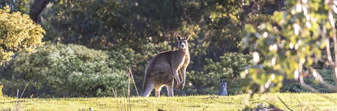 Alkina Lodge - Great Ocean Road - Tweed Heads Accommodation 3