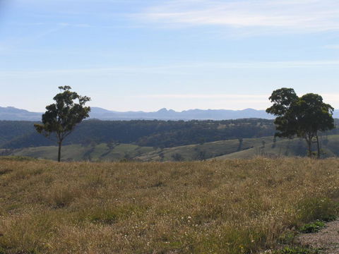 Almas Cottage - Tweed Heads Accommodation 2