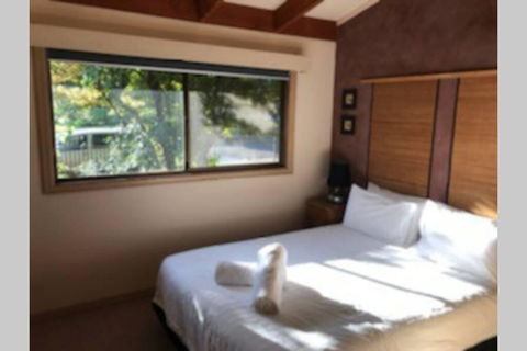 Alpine Guest House - Tweed Heads Accommodation 2