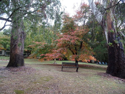 Alpine Park Riverside Cottages - Tweed Heads Accommodation 2