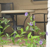 Amalie Cottage Waikerie - Tweed Heads Accommodation