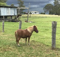AMs Farm Stay - Tweed Heads Accommodation