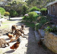 Anchorage Apartments - Tweed Heads Accommodation