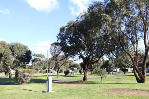 Anglesea Family Caravan Park - Tweed Heads Accommodation 1