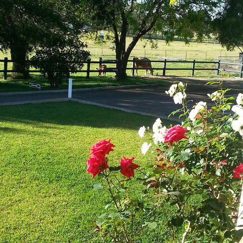 Appin Homestay B & B - Tweed Heads Accommodation 3