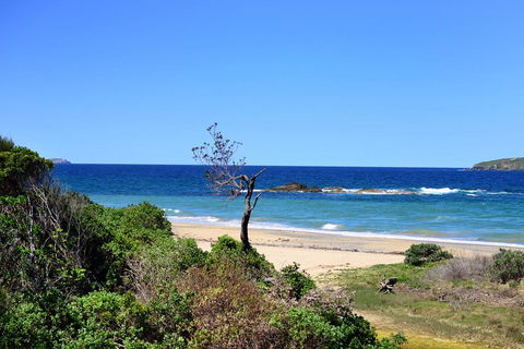 Aqualuna Beach Resort - Unit 25 - Tweed Heads Accommodation 3