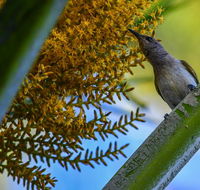 Ash's Holiday Units - Tweed Heads Accommodation