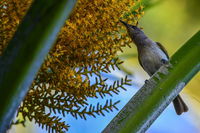 Book Karumba Accommodation Vacations Tweed Heads Accommodation Tweed Heads Accommodation