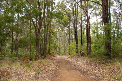 Ashleigh - Tweed Heads Accommodation 2