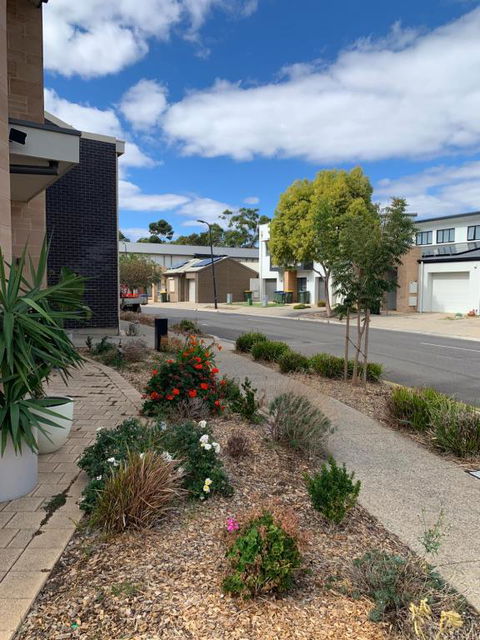 Luxurious Suite - Tweed Heads Accommodation 0