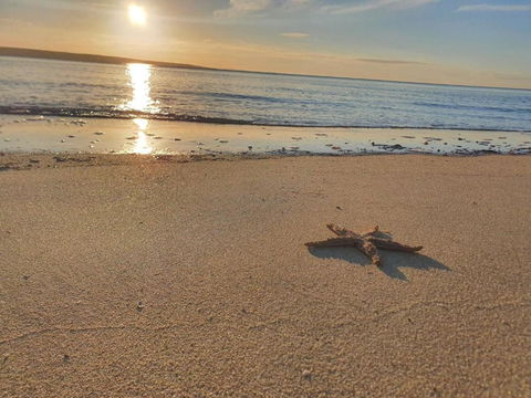 Matildas Of Kangaroo Island - Tweed Heads Accommodation 1