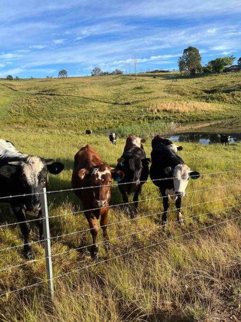 Modern Farmhouse - Tweed Heads Accommodation 3