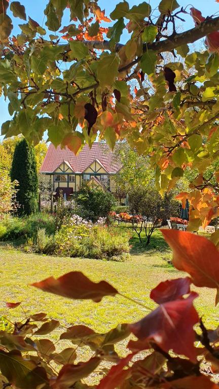 Oaktree Guest House - Tweed Heads Accommodation 0