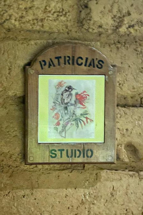 Patricias Garden Studio - Tweed Heads Accommodation 2
