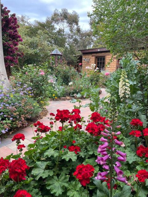 Patricias Garden Studio - Tweed Heads Accommodation 0