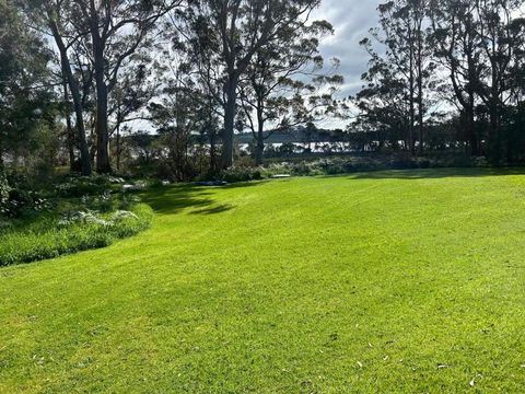 Peacock - Tweed Heads Accommodation 0