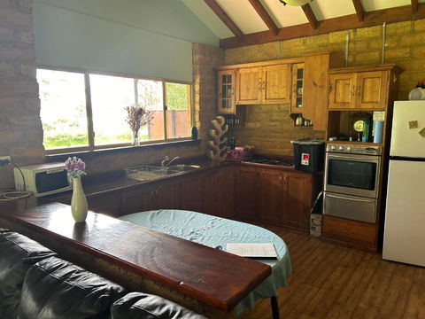 Peacock - Tweed Heads Accommodation 1