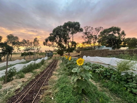 Penobscot Farm Cottage - Tweed Heads Accommodation 2