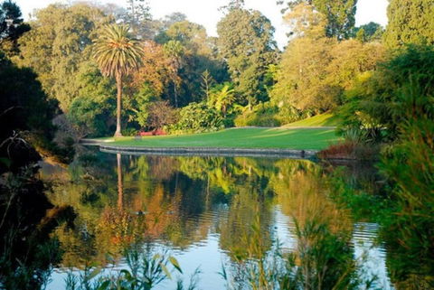 Perfect Parkside Princess Hill Retreat Sleeps 6 - Tweed Heads Accommodation 2