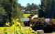 Red Door Collective - RDC Vineyard Estate, Luxury Adult Only Stay - thumb 0