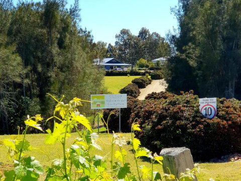 Red Door Collective - RDC Vineyard Estate, Luxury Adult Only Stay - Tweed Heads Accommodation 0