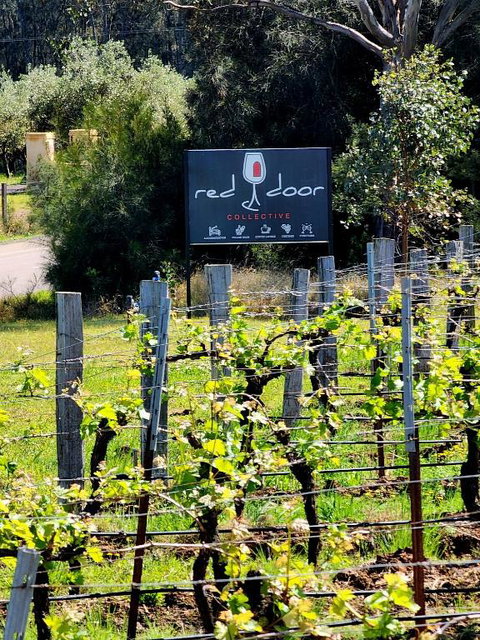 Red Door Collective - RDC Vineyard Estate, Luxury Adult Only Stay - Tweed Heads Accommodation 1