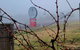 Red Door Collective - RDC Vineyard Estate, Luxury Adult Only Stay - thumb 3