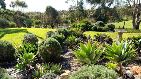 Austiny Bed And Breakfast Victor Harbor - Tweed Heads Accommodation 2