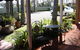 Avaleen Lodge Motor Inn - thumb 2