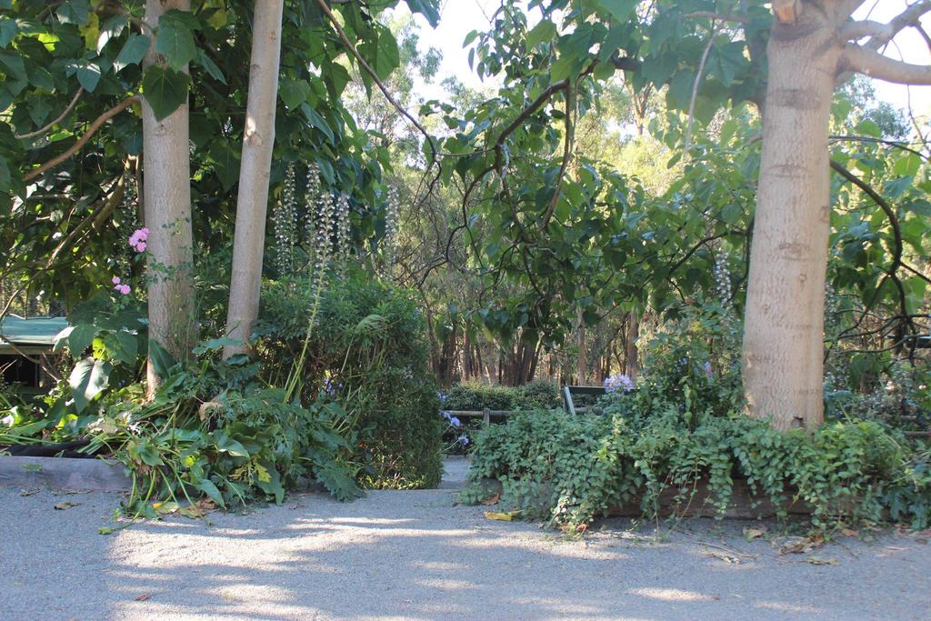 Avonsleigh VIC Tweed Heads Accommodation