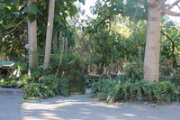 Book Macclesfield Accommodation Vacations Tweed Heads Accommodation Tweed Heads Accommodation
