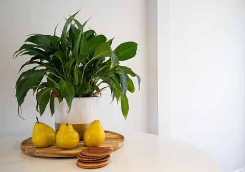 Azure Beach Retreat - Spa Luxury - Tweed Heads Accommodation 2