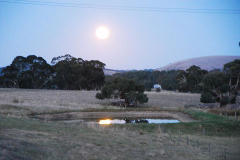Back Valley Farm Stay Bed And Breakfast - Tweed Heads Accommodation 3