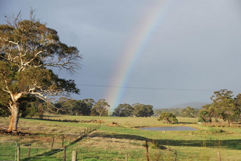 Back Valley Farm Stay Bed And Breakfast - Tweed Heads Accommodation 0