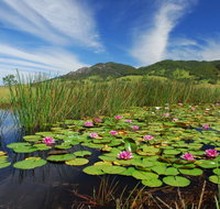 Barrington Hideaway- River Cottages - Tweed Heads Accommodation