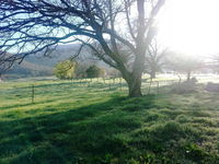 Book Mongans Bridge Accommodation Vacations Tweed Heads Accommodation Tweed Heads Accommodation