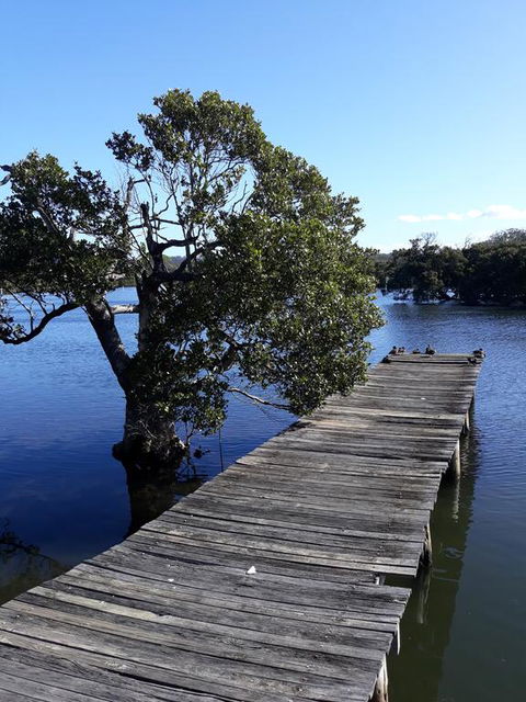 Bay Executive Motel - Tweed Heads Accommodation 1