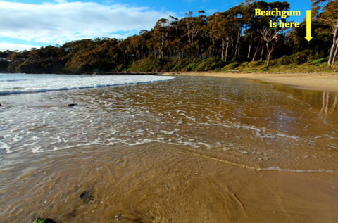 Beachgum - Tweed Heads Accommodation 2