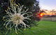 Redgate Forest Retreat - thumb 1
