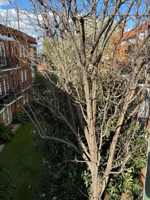 Regents Gate East Melbourne - Tweed Heads Accommodation 1