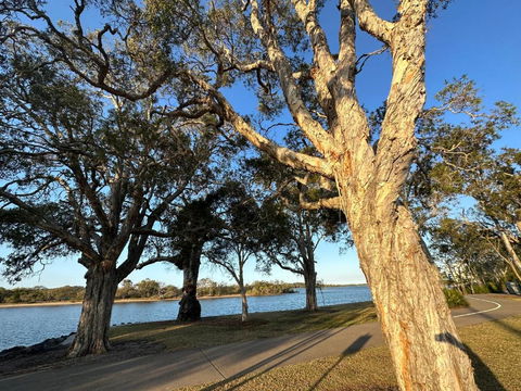 River Gum Apartment - Tweed Heads Accommodation 0