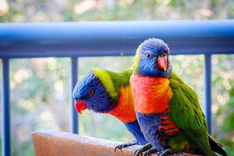 Sanctuary Lake Apartments - Tweed Heads Accommodation 1