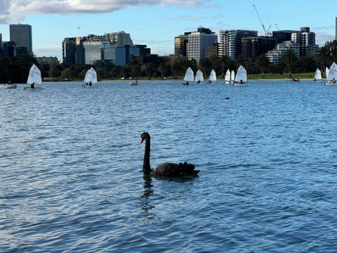 Sand & The City - Tweed Heads Accommodation 2