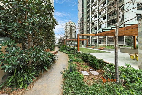 Sakura Apartment - Tweed Heads Accommodation 3