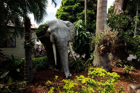 Sarina Palms Caravan And Cabins Village - Tweed Heads Accommodation 3