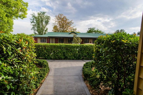The Grapevine Motel - Tweed Heads Accommodation 0